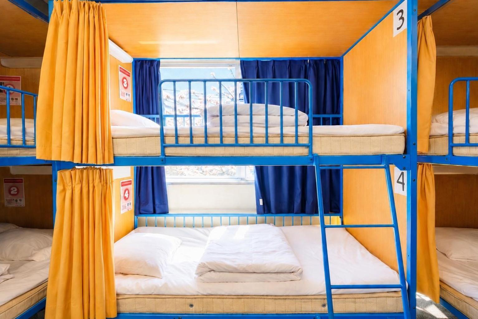 Bunk Bed Mixed Dormitory Room